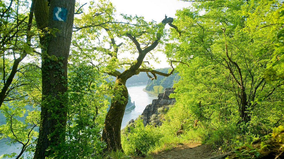 Atemberaubender Blick von der Rheinsteig-Königsetappe ins Rheintal! Foto: Dominik Ketz / Romantischer Rhein Tourismus GmbH